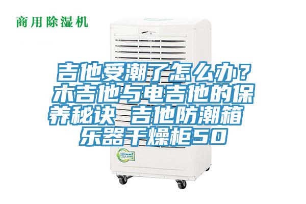 吉他受潮了怎么辦？木吉他與電吉他的保養(yǎng)秘訣 吉他防潮箱 樂(lè)器干燥柜50