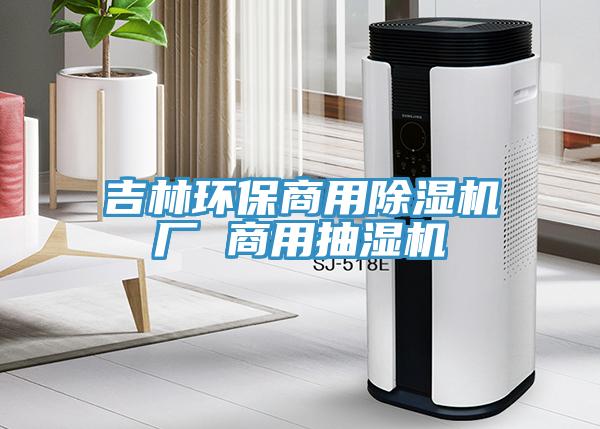 吉林環(huán)保商用除濕機(jī)廠 商用抽濕機(jī)