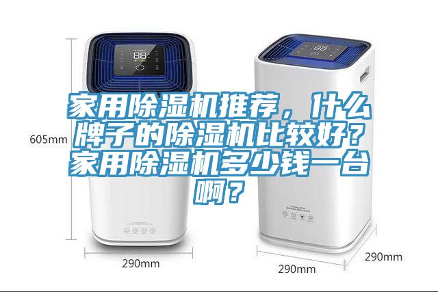 家用除濕機推薦，什么牌子的除濕機比較好？家用除濕機多少錢一臺啊？