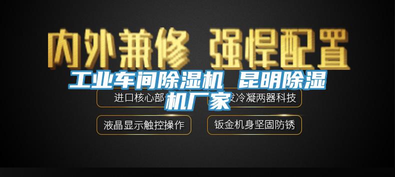 工業(yè)車間除濕機 昆明除濕機廠家