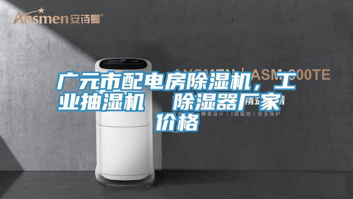 廣元市配電房除濕機，工業(yè)抽濕機  除濕器廠家 價格