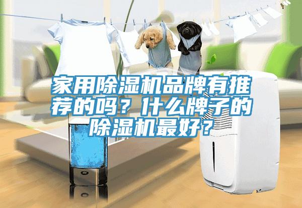 家用除濕機品牌有推薦的嗎？什么牌子的除濕機最好？