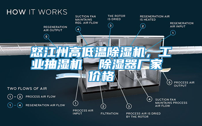 怒江州高低溫除濕機，工業(yè)抽濕機  除濕器廠家 價格