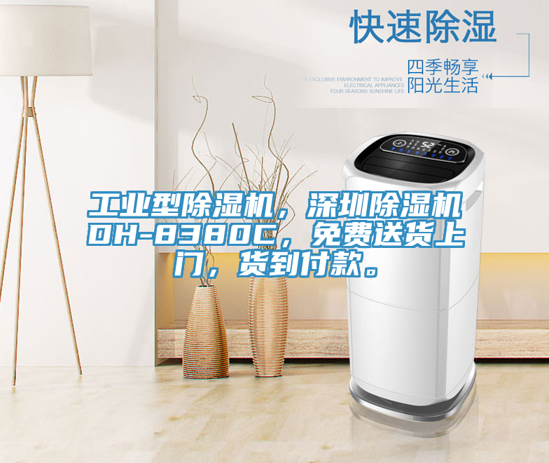 工業(yè)型除濕機(jī)，深圳除濕機(jī)DH-8380C，免費(fèi)送貨上門，貨到付款。