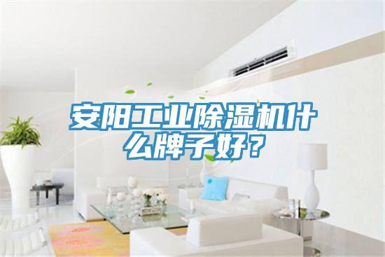 安陽工業(yè)除濕機什么牌子好？