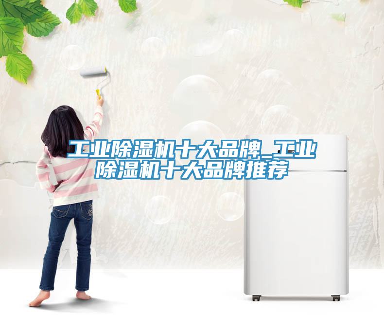 工業(yè)除濕機(jī)十大品牌_工業(yè)除濕機(jī)十大品牌推薦