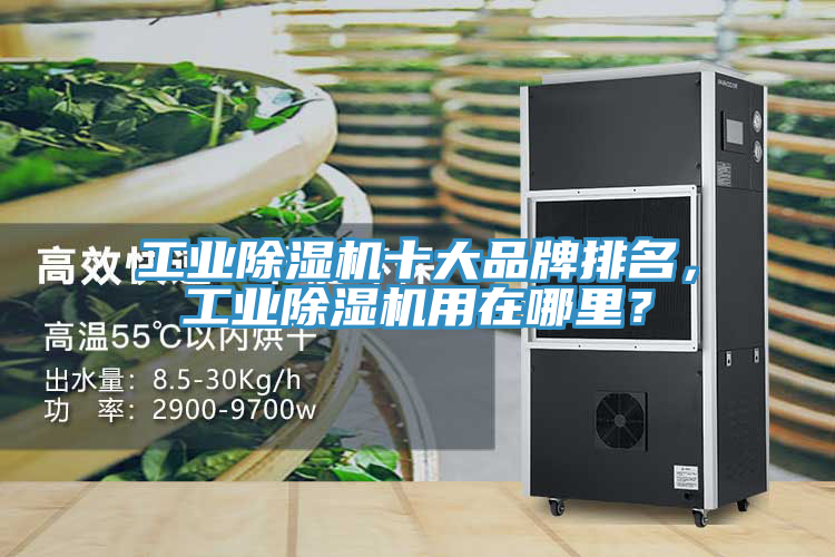 工業(yè)除濕機(jī)十大品牌排名，工業(yè)除濕機(jī)用在哪里？