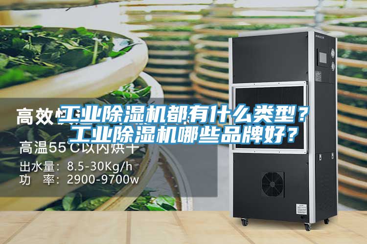 工業(yè)除濕機(jī)都有什么類型？工業(yè)除濕機(jī)哪些品牌好？