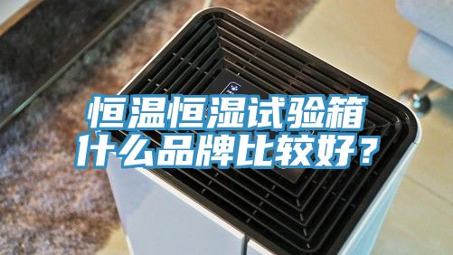 恒溫恒濕試驗箱什么品牌比較好？