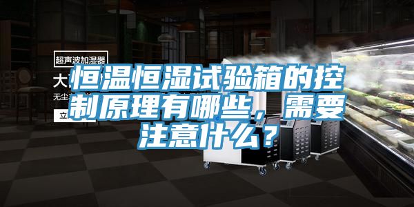 恒溫恒濕試驗(yàn)箱的控制原理有哪些，需要注意什么？