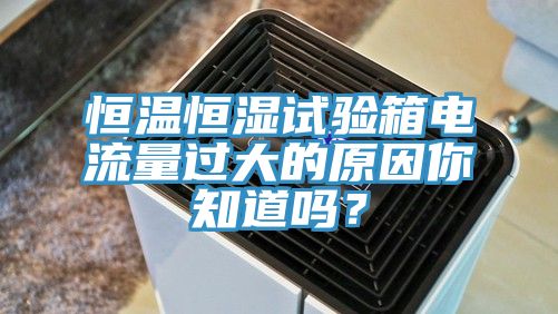 恒溫恒濕試驗箱電流量過大的原因你知道嗎？