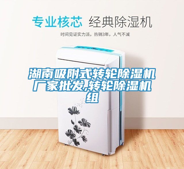 湖南吸附式轉輪除濕機廠家批發(fā),轉輪除濕機組