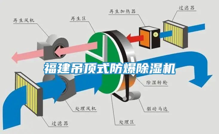 福建吊頂式防爆除濕機(jī)