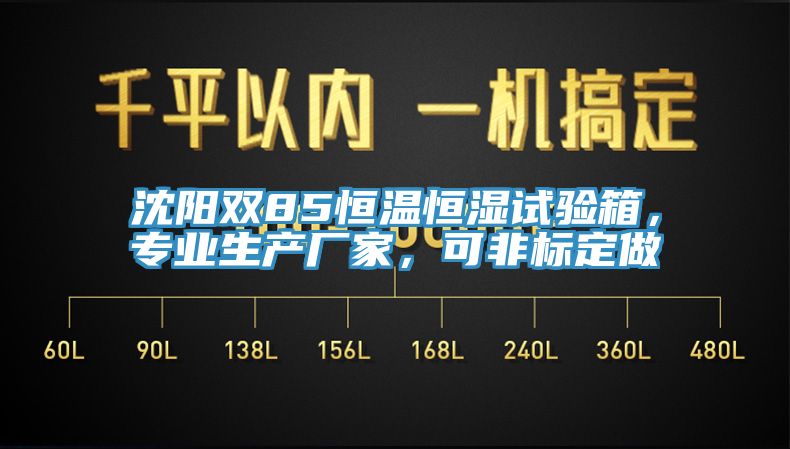 沈陽(yáng)雙85恒溫恒濕試驗(yàn)箱，專業(yè)生產(chǎn)廠家，可非標(biāo)定做