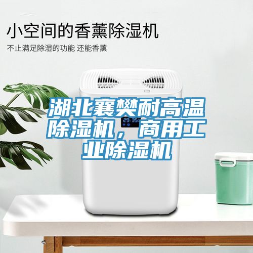 湖北襄樊耐高溫除濕機(jī)，商用工業(yè)除濕機(jī)