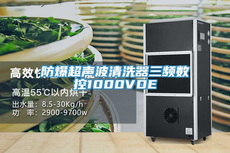 防爆超聲波清洗器三頻數(shù)控1000VDE