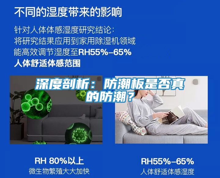 深度剖析：防潮板是否真的防潮？