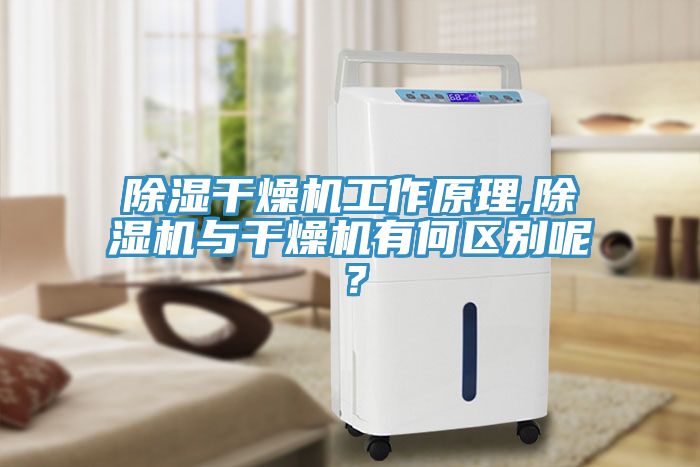 除濕干燥機工作原理,除濕機與干燥機有何區(qū)別呢？