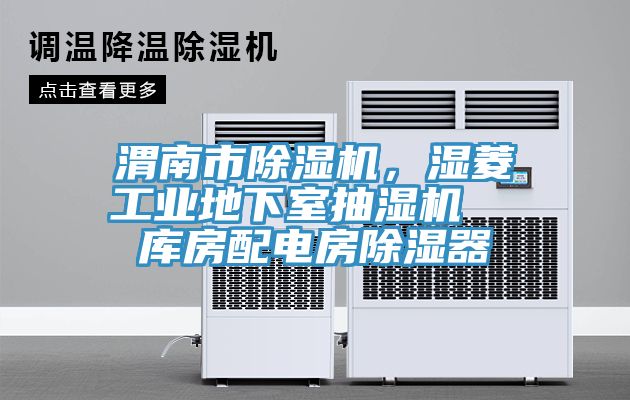 渭南市除濕機(jī)，濕菱工業(yè)地下室抽濕機(jī)  庫房配電房除濕器