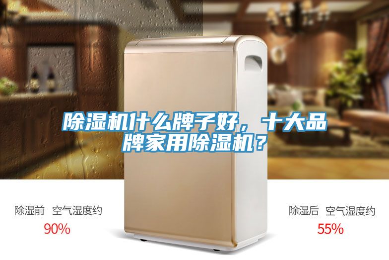 除濕機(jī)什么牌子好，十大品牌家用除濕機(jī)？