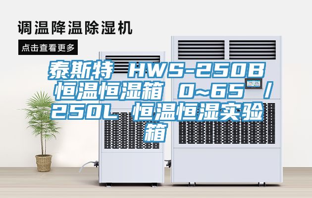 泰斯特 HWS-250B 恒溫恒濕箱 0~65℃／250L 恒溫恒濕實(shí)驗(yàn)箱