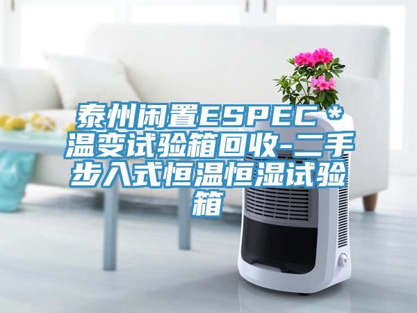 泰州閑置ESPEC＊溫變試驗(yàn)箱回收-二手步入式恒溫恒濕試驗(yàn)箱