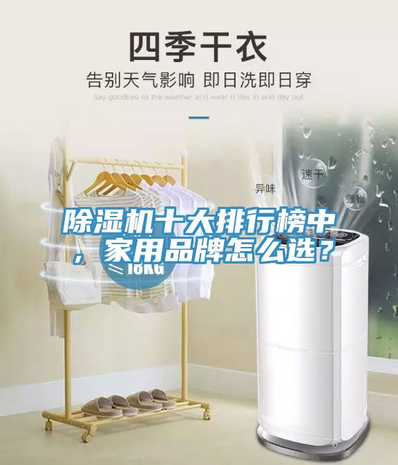 除濕機(jī)十大排行榜中，家用品牌怎么選？