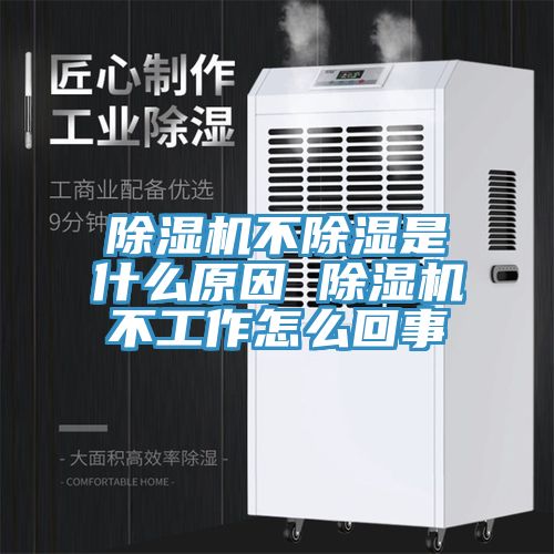 除濕機不除濕是什么原因 除濕機不工作怎么回事