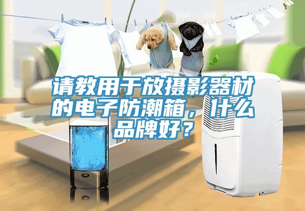 請(qǐng)教用于放攝影器材的電子防潮箱，什么品牌好？