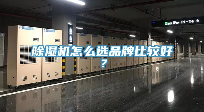 除濕機怎么選品牌比較好？