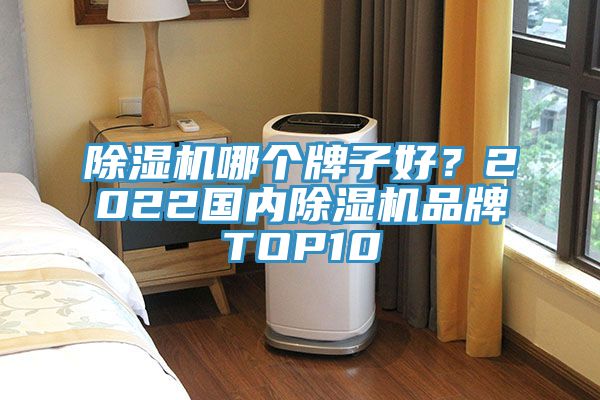 除濕機(jī)哪個(gè)牌子好？2022國內(nèi)除濕機(jī)品牌TOP10