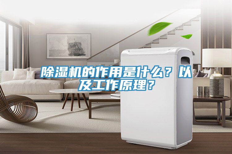 除濕機的作用是什么？以及工作原理？