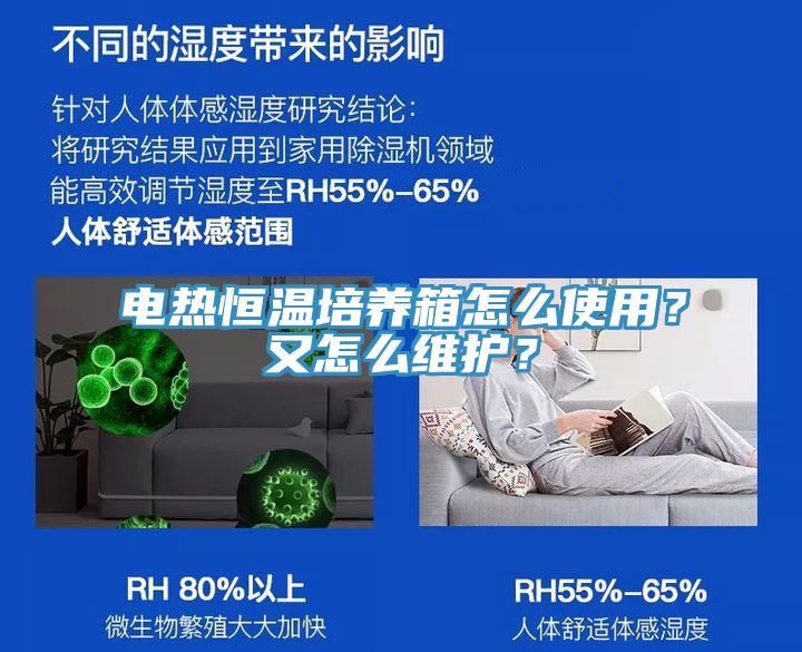 電熱恒溫培養(yǎng)箱怎么使用？又怎么維護？