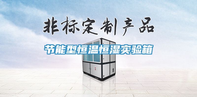 節(jié)能型恒溫恒濕實驗箱