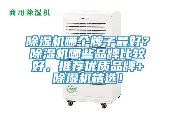 除濕機哪個牌子最好？除濕機哪些品牌比較好，推薦優(yōu)質品牌+除濕機精選！