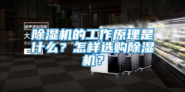 除濕機(jī)的工作原理是什么？怎樣選購(gòu)除濕機(jī)？