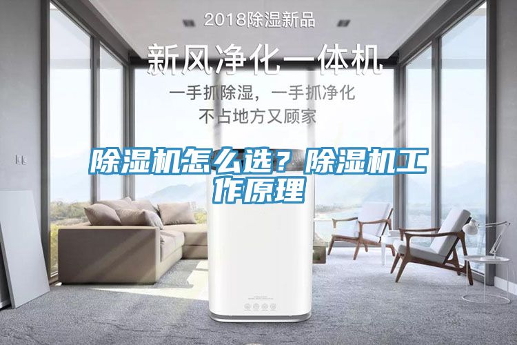 除濕機怎么選？除濕機工作原理