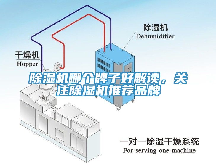 除濕機哪個牌子好解讀，關(guān)注除濕機推薦品牌